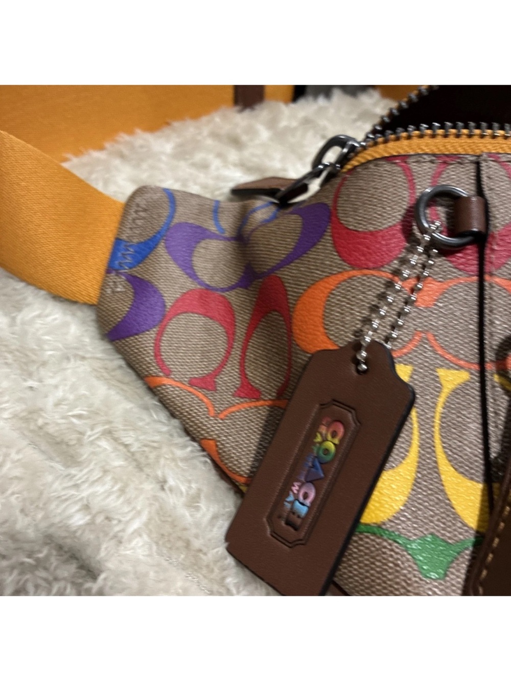 Coach Multicolor Signature Canvas Crossbody Belt Bag - Picture 5 of 7